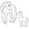 Coloring pages. Farm animals. Mother horse with foal.
