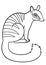 Coloring pages. Little cute numbat sits