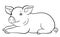 Coloring pages. Little cute piglet lays and smiles