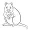 Coloring pages. Little cute quokka holds the leaf