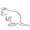 Coloring pages. Little cute quokka smiles