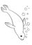Coloring pages. Little cute seal swims.
