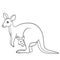 Coloring pages. Mother kangaroo with her little baby.