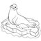 Coloring pages. Mother seal with her little cute baby.
