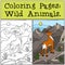 Coloring Pages: Wild Animals. Little cute antelope .