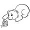 Coloring pages. Wild animals. Little cute baby bear.