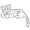 Coloring pages. Wild animals. Little cute baby tiger smiles.