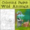 Coloring Pages: Wild Animals. Little cute badger sits and holds an amanita in the hands