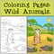 Coloring Pages: Wild Animals. Little cute meerkat smiles.