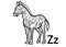 Coloring pictures of zebra and z letter worksheet for kid