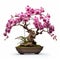 Colorized Bonsai Orchid Tree In Brown Pot With Graceful Curves