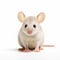 Colorized Image Of Meticulous White Mouse With Large Ears