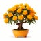 Colorized Marigold Bonsai Tree In Orange Pot - Detailed And Traditional Pose