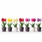 Colorized Minimalist Tulips In Ceramic Pots On White Background