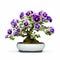 Colorized Pansy Bonsai: Timeless Artistry In Traditional Chinese Style