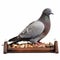 Colorized Pigeon On Wooden Tray: Dignified Poses For Hunting