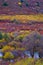 The colorized Rangeland in Plateau