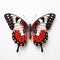 Colorized Red And Black Butterfly Artwork On White Background