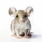 Colorized Silver Mouse With Ears - Precisionist Art Style