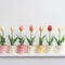 Colorized Tulip Pots On White Shelf - Soft Color Fields