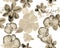 Colorless Botanical Textile. Brown Orchid Illustration. Gray Hibiscus Painting. Flower Leaf. Watercolor Jungle. Seamless Design. P