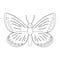 Colorless butterfly vector illustration isolated on white background