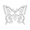 Colorless butterfly vector illustration isolated on white background