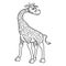 Colorless cartoon Giraffe stands and smiles. Coloring pages. Template page for coloring book of funny Calf for kids. Practice