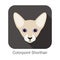 Colorpoint Shorthair Cat, Cat breed face cartoon flat icon design