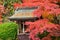 Colors of autumn leaves and little shrine, Japan.