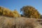 The colors of autumn line the paths of the trails on Snow Mountain Ranch.