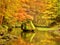 Colors of autumn mountain river. Mossy boulder in cold water