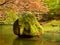 Colors of autumn mountain river. Mossy boulder in cold water