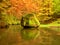 Colors of autumn mountain river. Mossy boulder in cold water