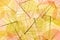 Colors of Autumn - Transparent Leaves Background