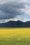 The colors of castelluccio di norcia