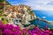 Colors of Italy series -Manarola village , Cinque terre