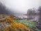 Colors of November, foggy river bank with a frosted grass