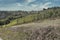 The colors of the vineyards of the Langhe in autumn