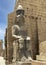 Colossal seated statue of Rameses II at the 1st Pylon, the main entrance for  the Luxor Temple in Luxor, Egypt.