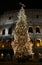 Colosseo with christmas tree at night. Rome, Italy