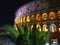 Colosseum surrounded by greenery at night in Rome, Italy