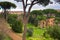 Colosseum view from Palatino hill in Rome, Italy