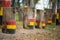 Colouful wooden swings in row. Outdoor children playground