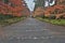 Colour ful Autumn in Nison in Temple, Kyoto, Japan