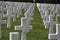 Colour image of US war graves in FRance