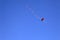 Colour kite in blue sky
