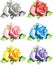Colour roses on the white background