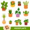 Colour set of houseplants, collection of nature items with names in English. Cartoon visual dictionary for children about flowers