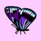 Coloured butterfly vector illustration eps10